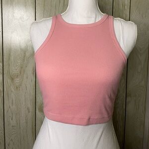 Pink Ribbed Crop Tank From Wild Fable